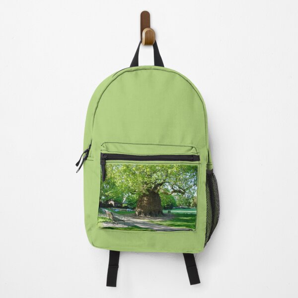 Item preview, Canterbury Westgate Gardens designed and sold by Alisonchambers2.