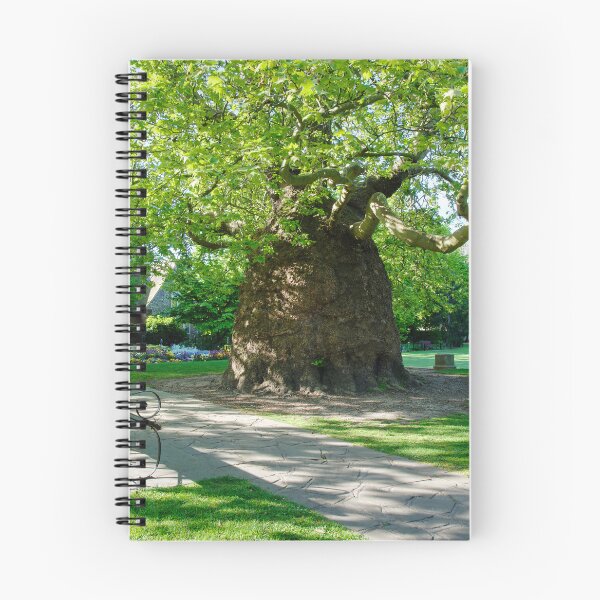 Item preview,   Canterbury Westgate Gardens designed and sold by Alisonchambers2.