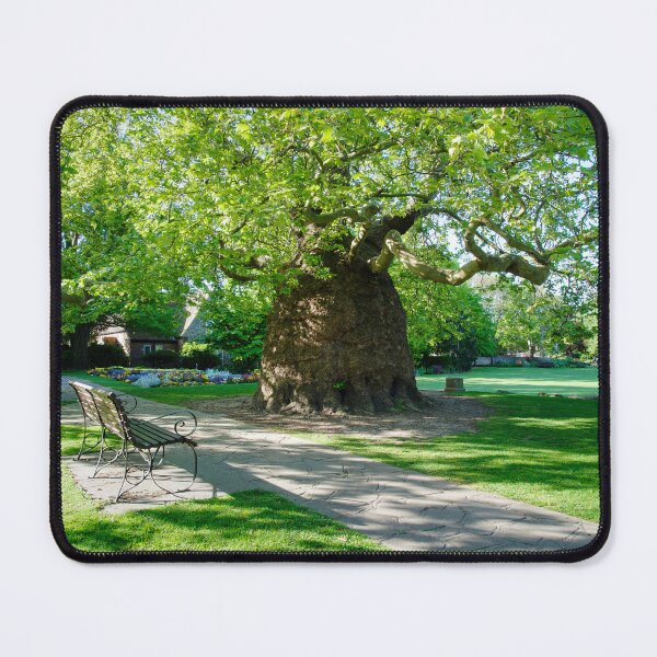 Item preview, Canterbury Westgate Gardens designed and sold by Alisonchambers2.