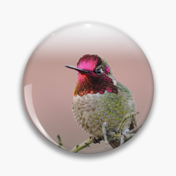 Item preview, Pink Percher designed and sold by drethelin.