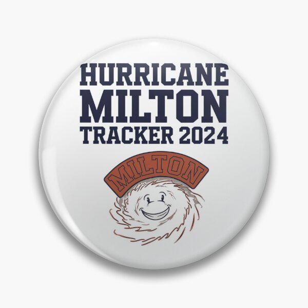 Aperçu de l'œuvre Ouragan Milton 2024 Bilan créée et vendue par Arfurneauxt.