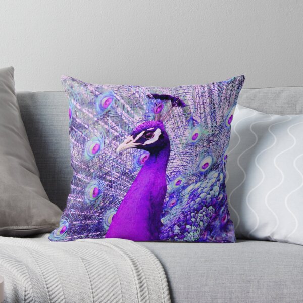 Peacock colored hot sale pillows