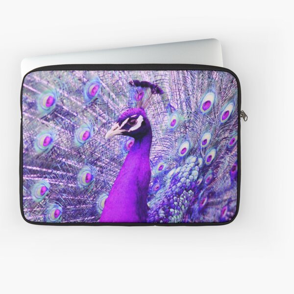 Color Set Purple Peacock – Joy Color Art®