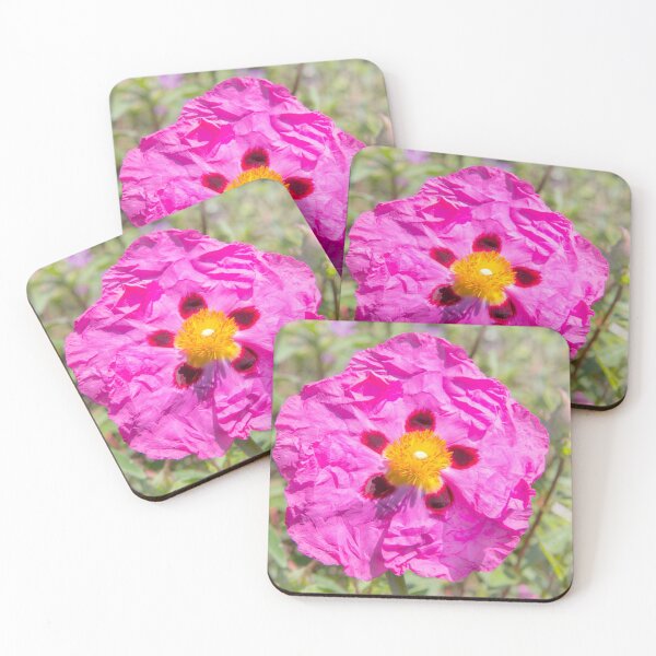 Item preview, Creased Flora designed and sold by Dave Hare Photography.