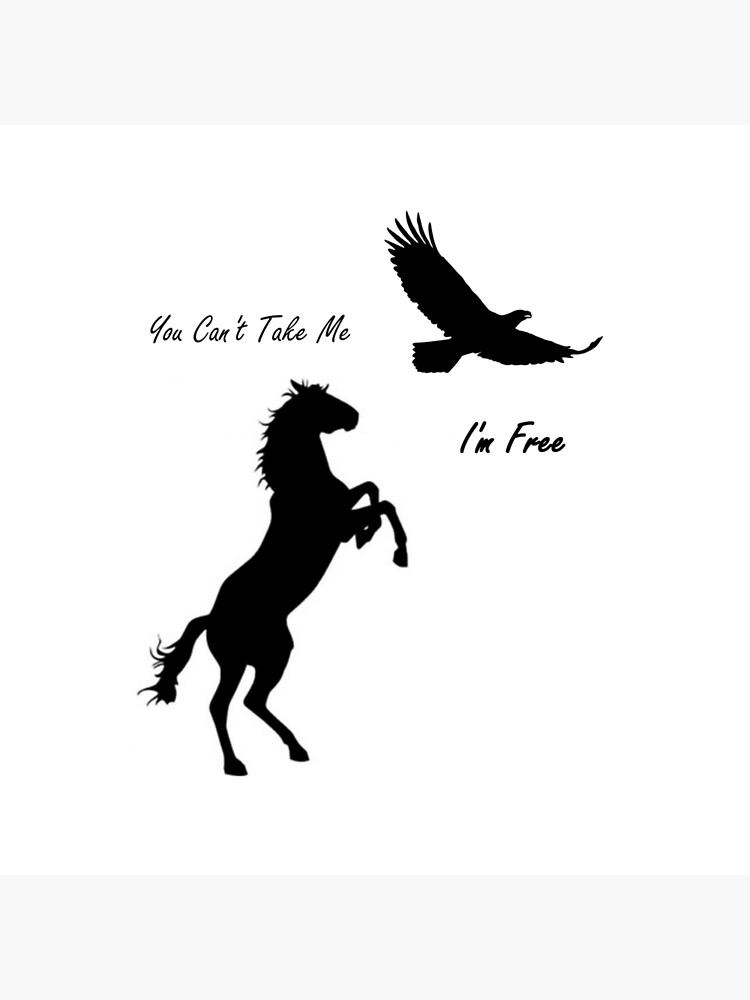 spirit horse pillow