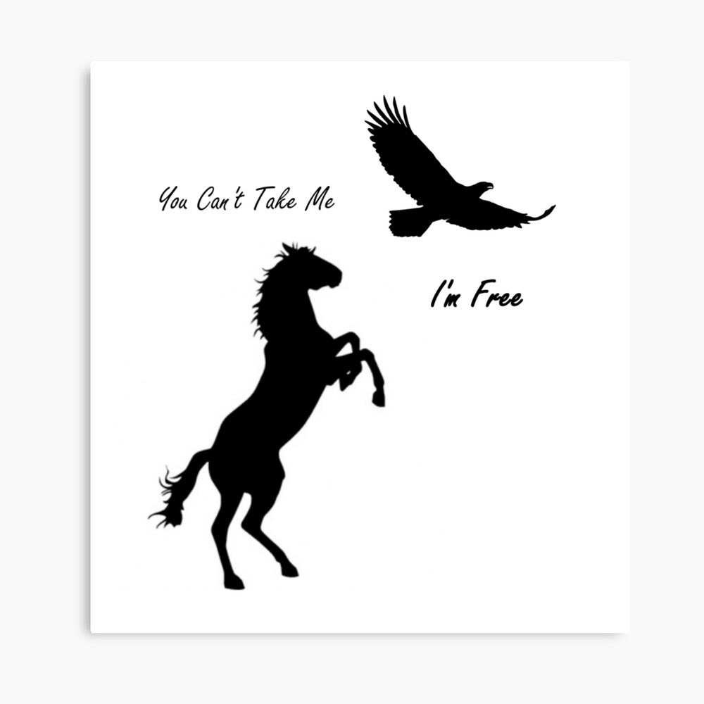 Stallion Sale for by Card Spirit Greeting the Redbubble | Cimarron\