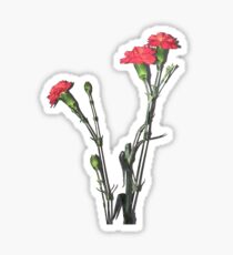 Red Carnation Sticker