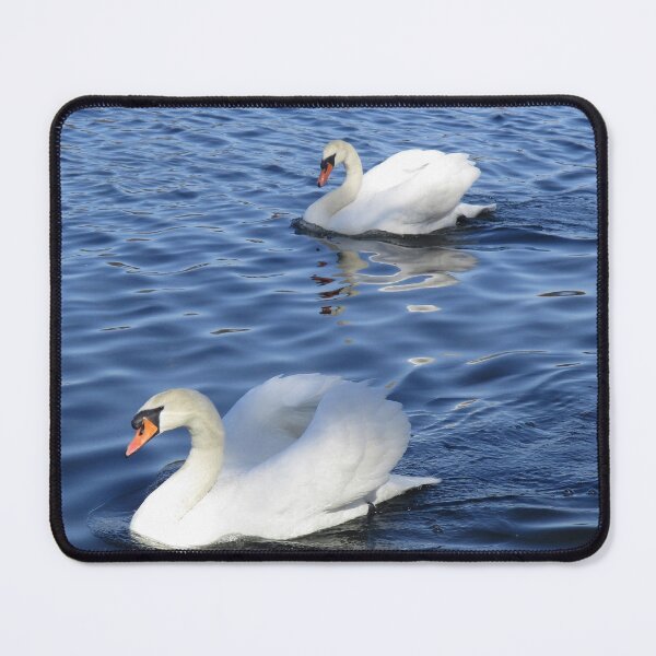 Item preview, THE ELEGANCE OF THE SWAN 2 designed and sold by NatureWatch10.