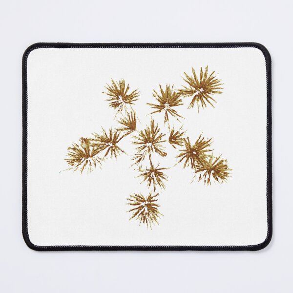 Item preview, drawing yellow flowers, autumn flowers designed and sold by MiMee4451.