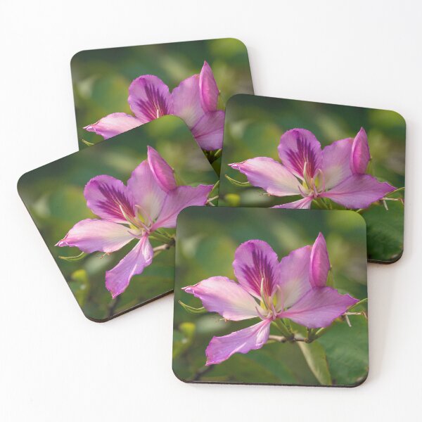 Item preview, Orchid Tree Bloom designed and sold by Debra Martz.