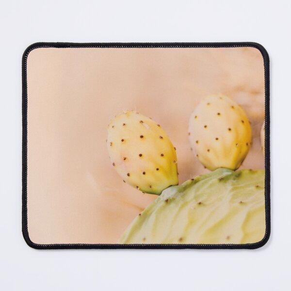 Item preview, Prickly cacti botanical light photo poster designed and sold by AhArtMe.