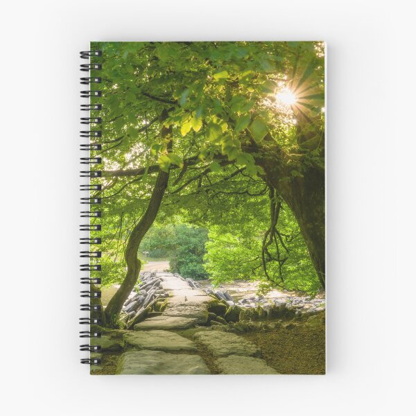 Item preview, Tarr Steps Sunrise designed and sold by Craig Joiner.