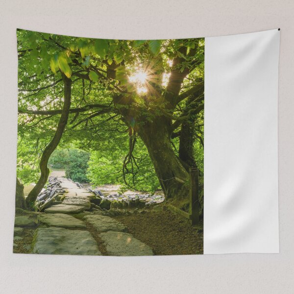 Item preview, Tarr Steps Sunrise designed and sold by Craig Joiner.