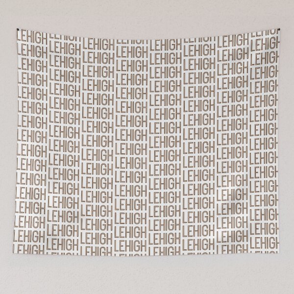 Item preview, lehigh designed and sold by clairekeanna.