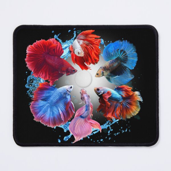 Item preview, Siamese Fighting Fish designed and sold by FishyFantasies.