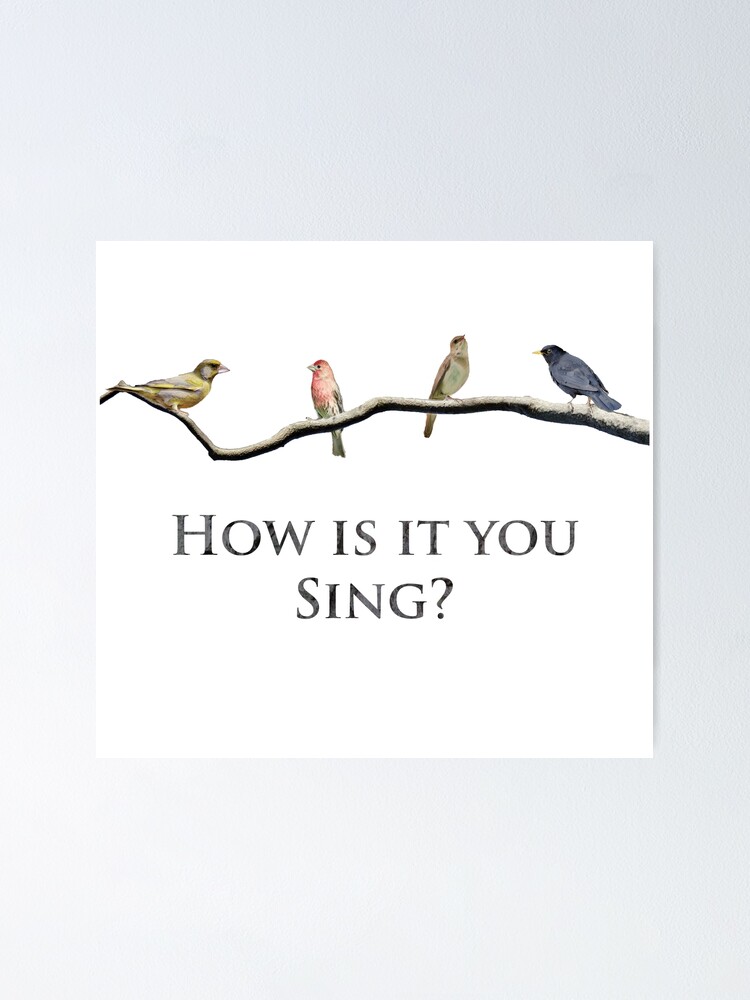 "Green Finch and Linnet Bird | Sweeney Todd" Poster by jennyanydots123