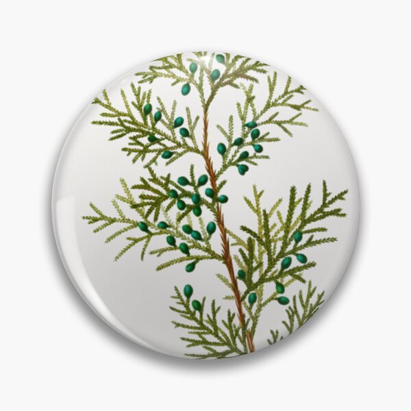 Item preview, Virginian Juniper designed and sold by BlueSpecsStudio.