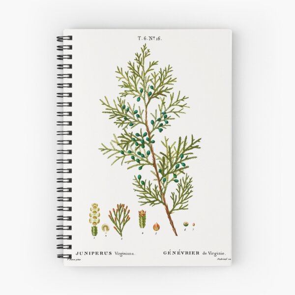 Item preview, Virginian Juniper designed and sold by BlueSpecsStudio.