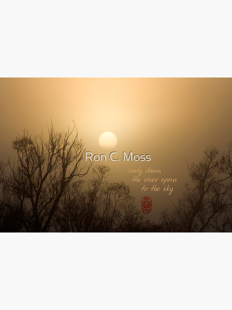 Early Dawn by ronmoss