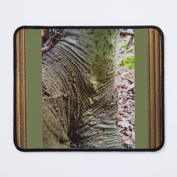 Item preview, Dirty Tree Series Photograph Natural Art designed and sold by DandelionTee.
