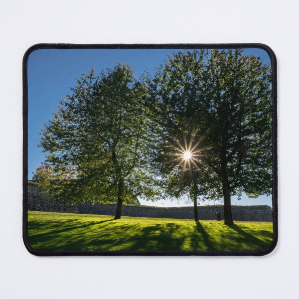 Item preview, park designed and sold by paolo amiotti.