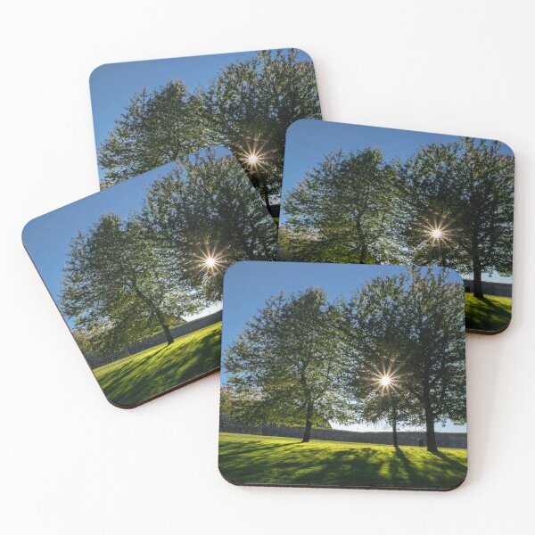 Item preview, park designed and sold by paolo amiotti.