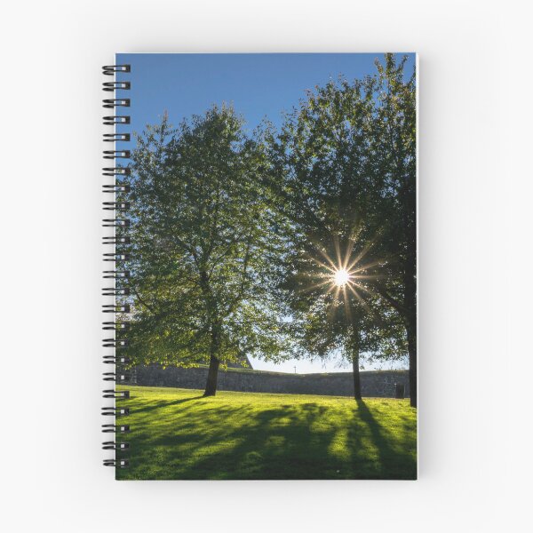 Item preview, park designed and sold by paolo amiotti.