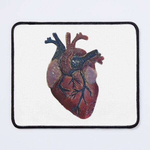 Item preview, Anatomical heart - no border designed and sold by asiddesign.