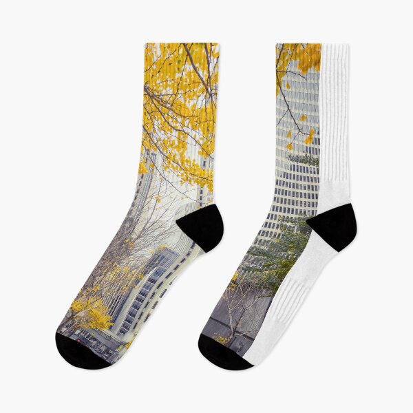 Item preview, San Francisco in Autumn designed and sold by jvnimages.