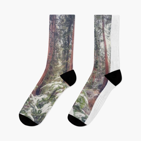 Item preview, Snowy Forest designed and sold by jvnimages.