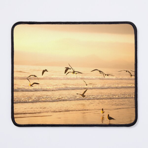 Item preview, Flock of seagulls designed and sold by Stephensimages.
