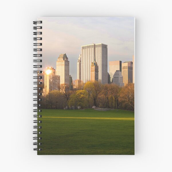 Aperçu de l'œuvre Skyline de la ville de New York créée et vendue par Stephensimages.