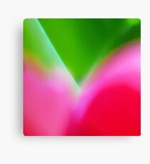 Colors of Spring 1 Canvas Print