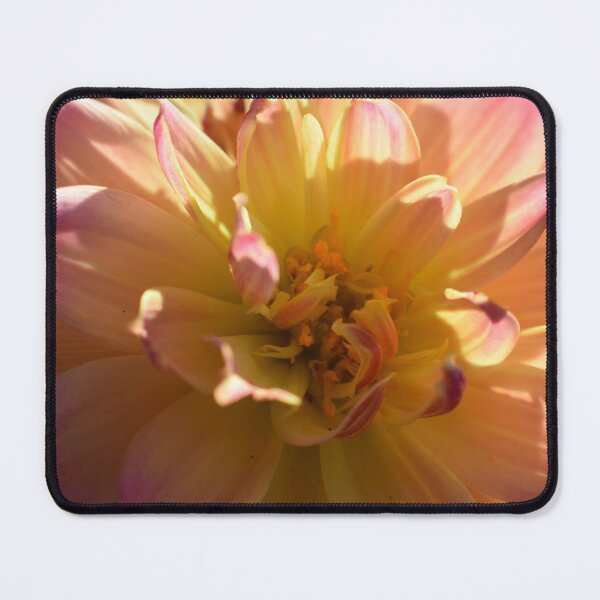 Item preview, Shadowed Dahlia designed and sold by IsTheRudest.
