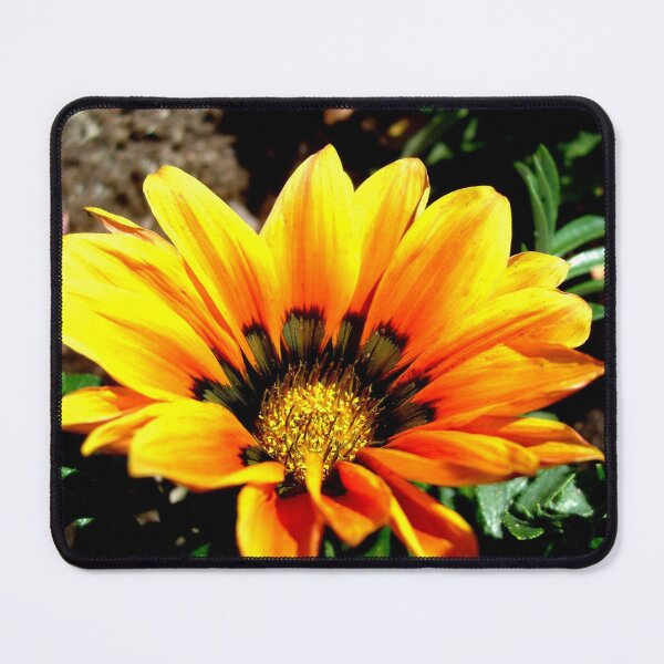 Item preview, Gazania.... designed and sold by Ana Belaj.