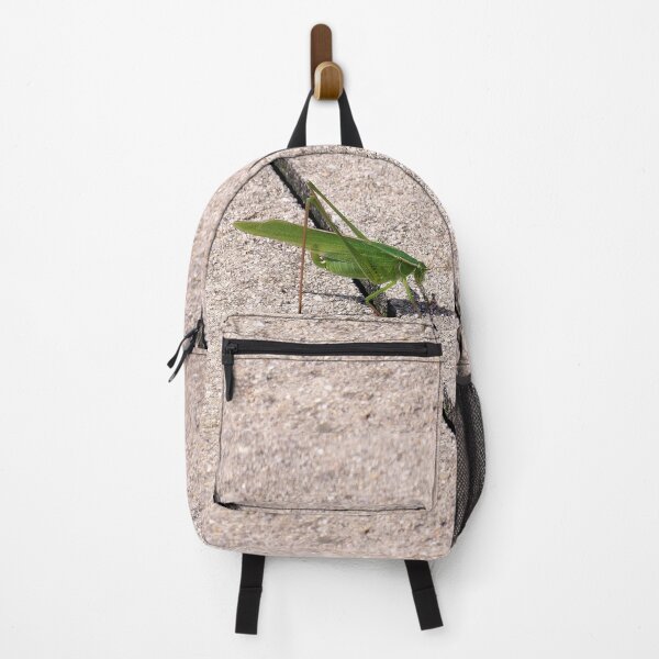 Item preview, Concrete Katydid designed and sold by gistinker.