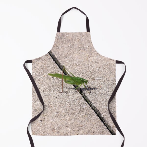 Item preview, Concrete Katydid designed and sold by gistinker.
