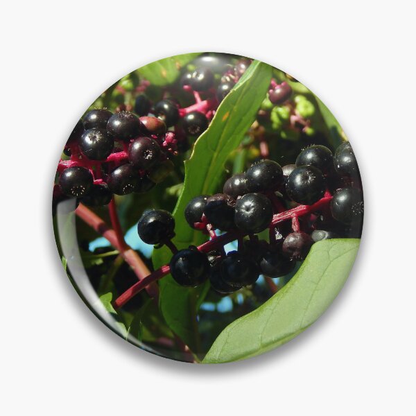 Item preview, Prime Pokeweed designed and sold by gistinker.