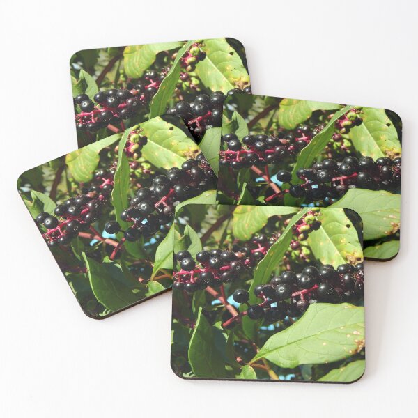 Item preview, Prime Pokeweed designed and sold by gistinker.