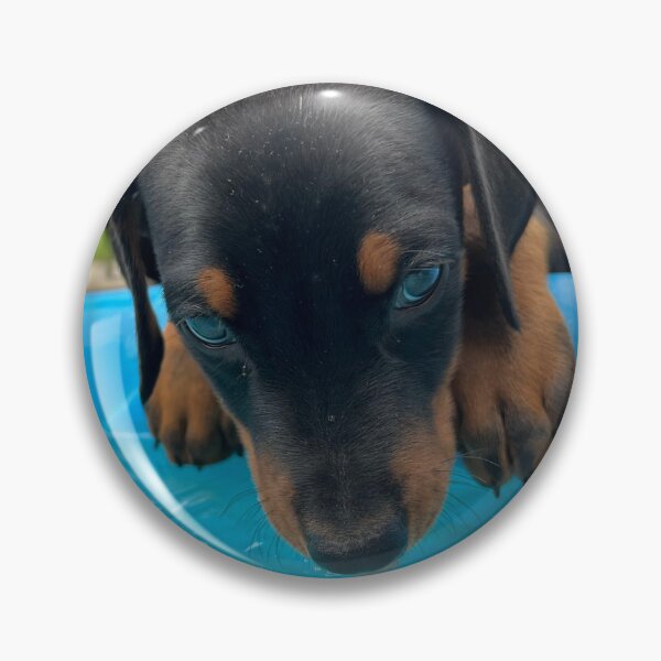 Item preview, Poolside Pup designed and sold by emmalynn7.