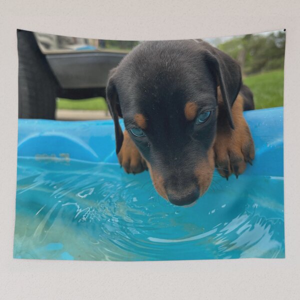 Item preview, Poolside Pup designed and sold by emmalynn7.