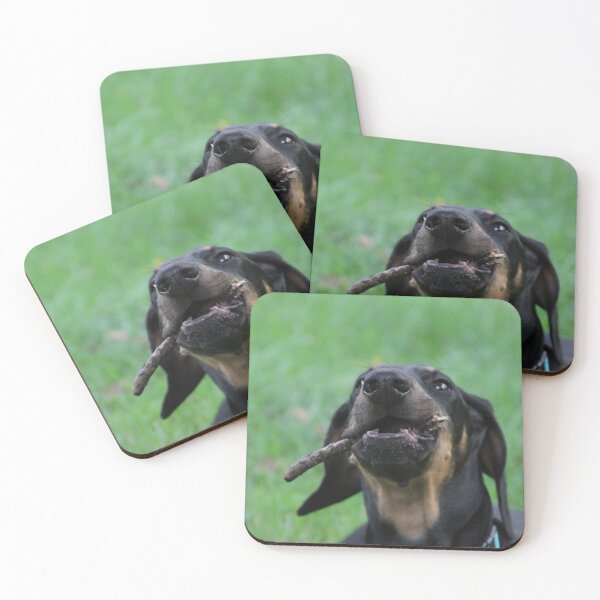 Item preview, Stick-Chewing Champion designed and sold by emmalynn7.