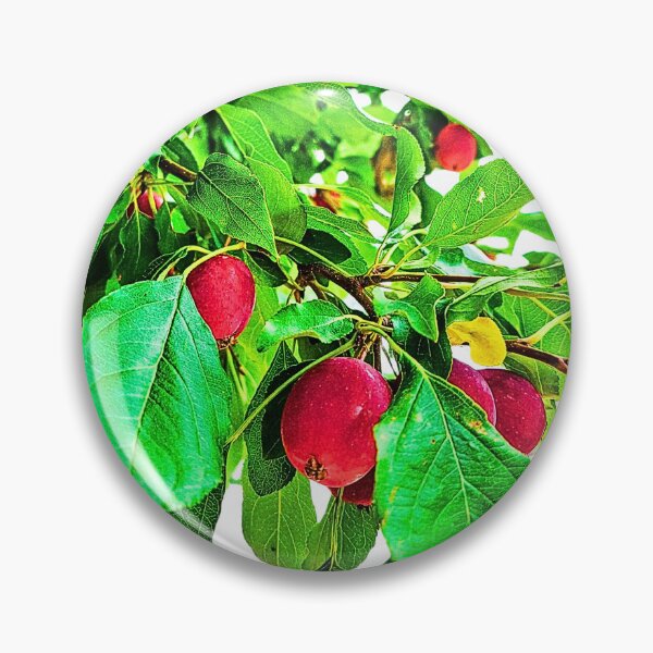 Item preview, Autumn / Winter Vibes Crab Apple Photo designed and sold by FloresInColor1.