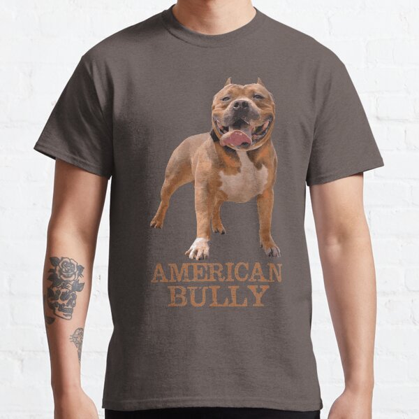 american bully clothes