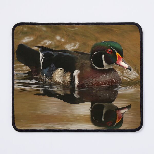 Item preview, Autumn Wood Duck designed and sold by locustgirl.