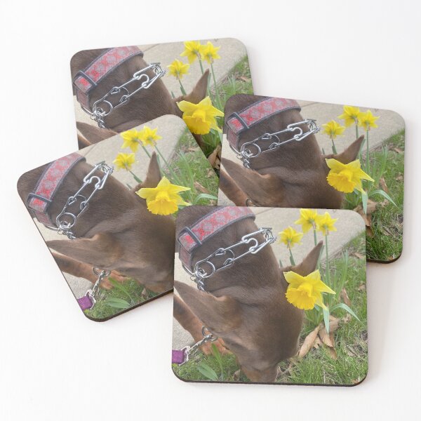 Item preview, Among the Daffodils designed and sold by emmalynn7.