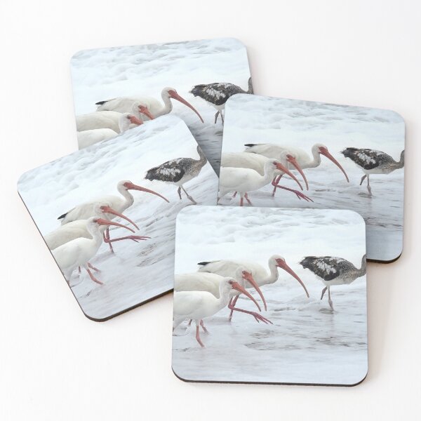 Item preview, A trio of Ibis and a young Ibis in the surf designed and sold by AquarinaFL.