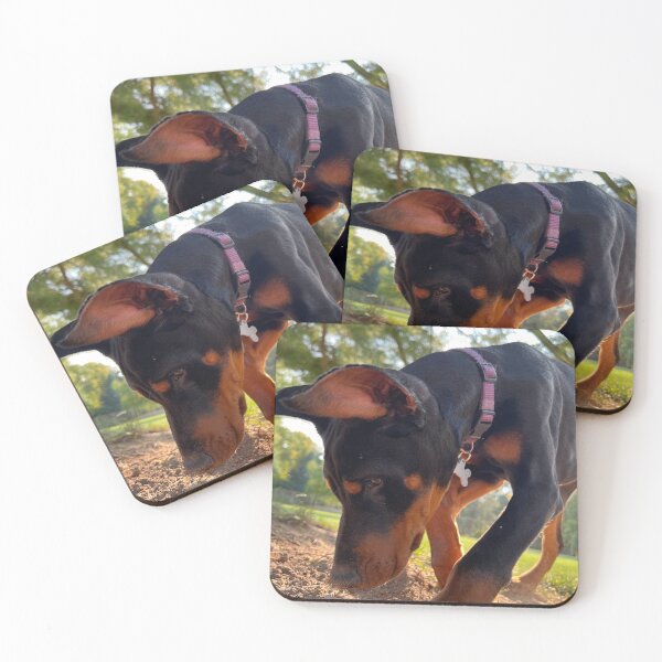 Item preview, Digging Into Adventure designed and sold by emmalynn7.