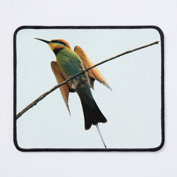 Item preview, Rainbow Bee-Eater perched on a branch designed and sold by BirdsAlive.