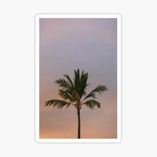 Item preview, Palm tree sunset  designed and sold by cloutierdesigns.